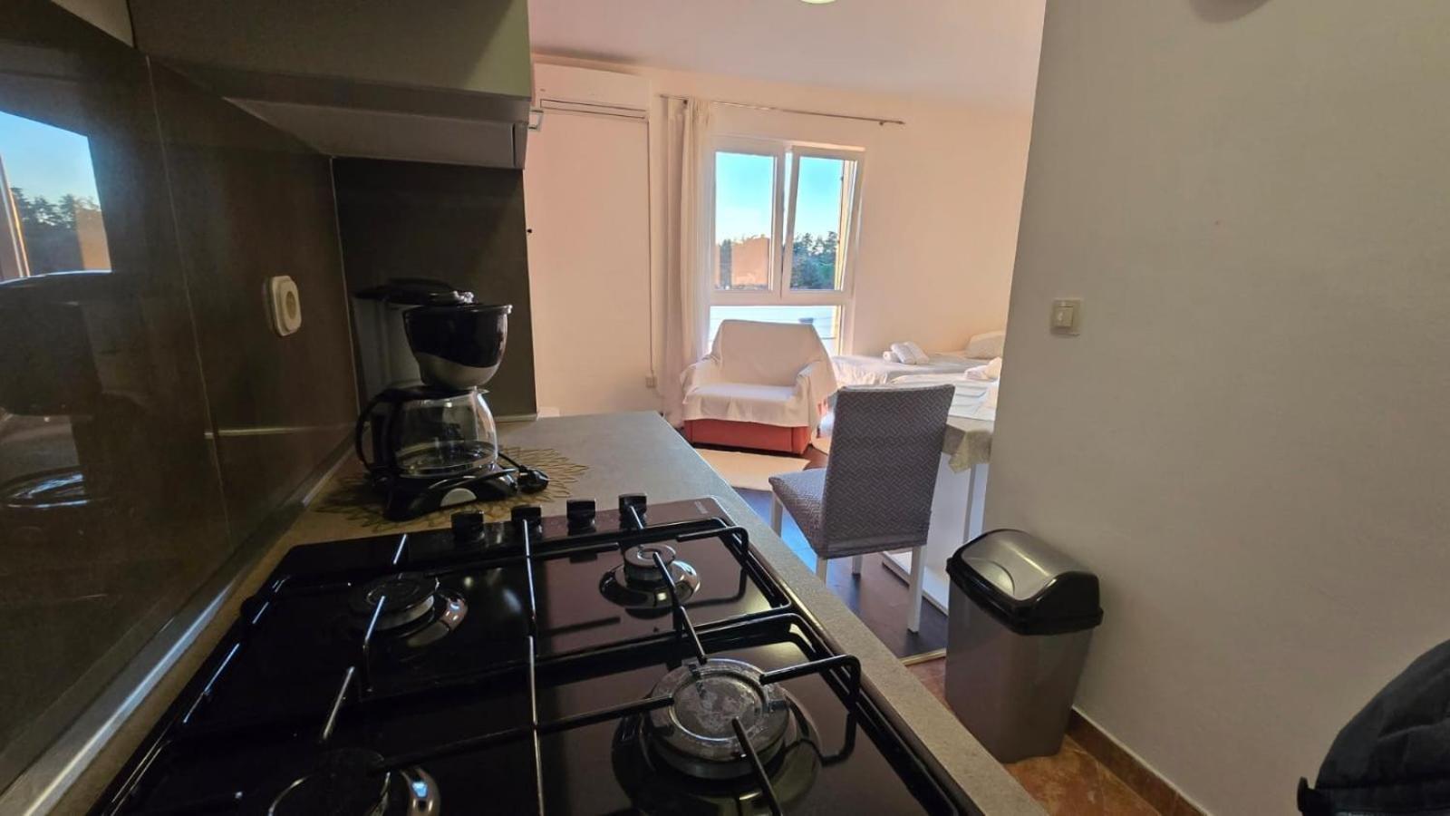 Studio Apartment Ljubica For 2 Persons 150M From The Beach Poreč Buitenkant foto
